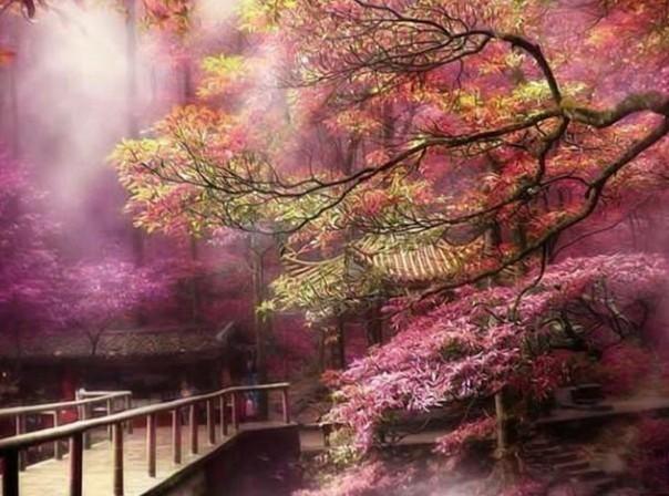 七人局